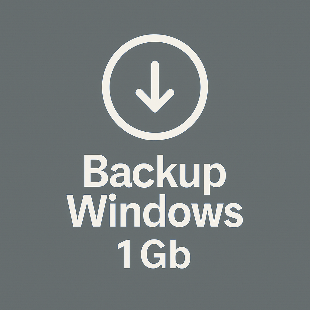 Pack Backup Copia de seguridad 1 Gb