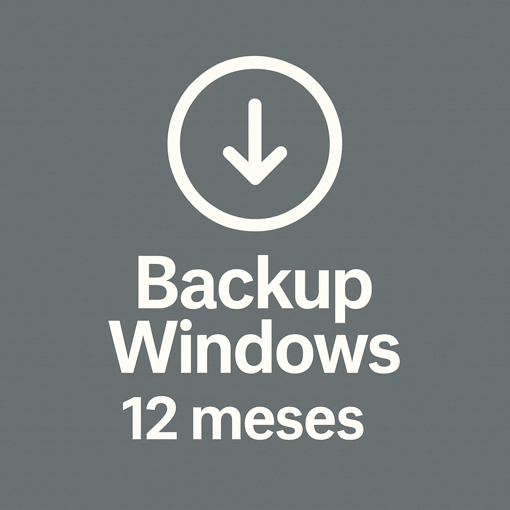 Backup Online Windows 12 mes
