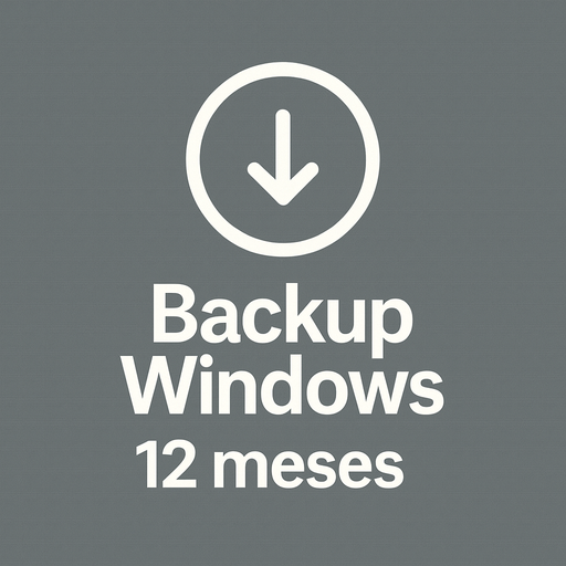 Backup Online Windows 12 mes