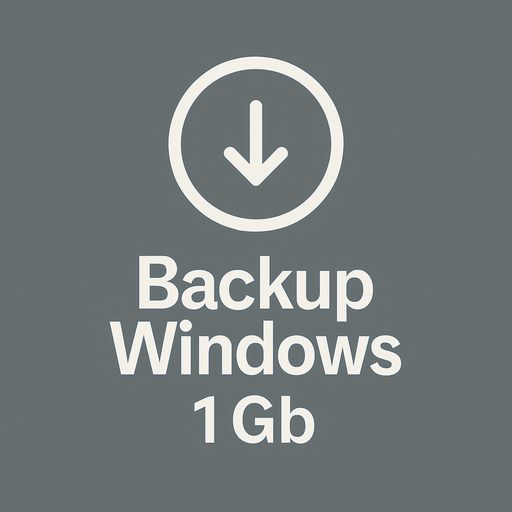 Pack Backup Copia de seguridad 1 Gb